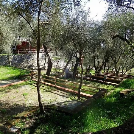 Kamp alanı Tigullio &